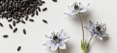 Allergien