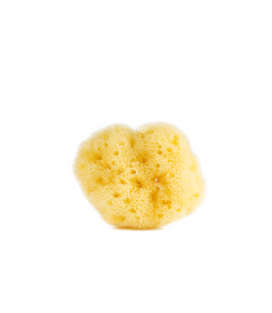 Gesichtsschwamm